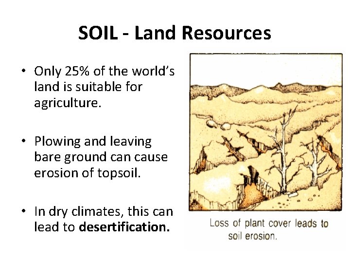 SOIL - Land Resources • Only 25% of the world’s land is suitable for