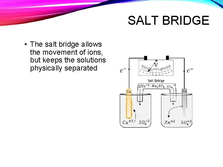 SALT BRIDGE • The salt bridge allows the movement of ions, but keeps the SALT BRIDGE • The salt bridge allows the movement of ions, but keeps the