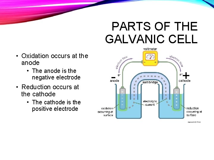 PARTS OF THE GALVANIC CELL • Oxidation occurs at the anode • The anode PARTS OF THE GALVANIC CELL • Oxidation occurs at the anode • The anode