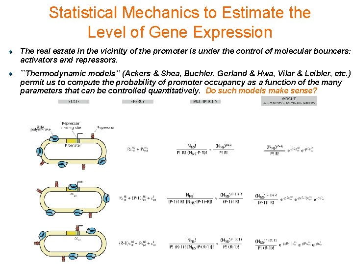 Statistical Mechanics to Estimate the Level of Gene Expression The real estate in the