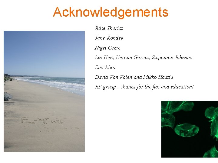 Acknowledgements Julie Theriot Jane Kondev Nigel Orme Lin Han, Hernan Garcia, Stephanie Johnson Ron