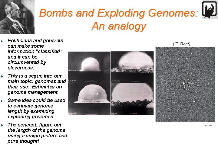 Bombs and Exploding Genomes: An analogy Politicians and generals can make some information “classified”