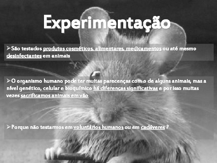 Experimentação ØSão testados produtos cosméticos, alimentares, medicamentos ou até mesmo desinfectantes em animais ØO