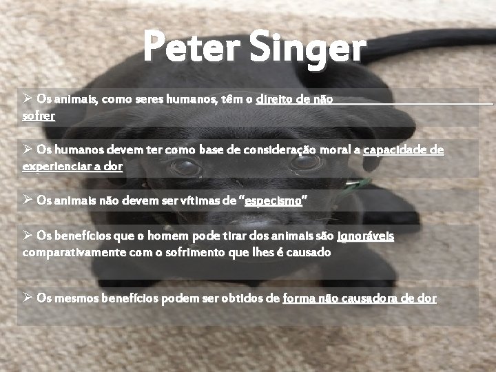 Peter Singer Ø Os animais, como seres humanos, têm o direito de não sofrer