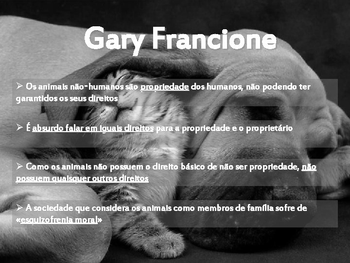 Gary Francione Ø Os animais não-humanos são propriedade dos humanos, não podendo ter garantidos