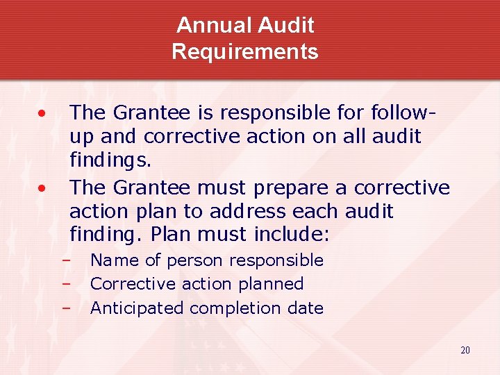 Annual Audit Requirements • • The Grantee is responsible for followup and corrective action