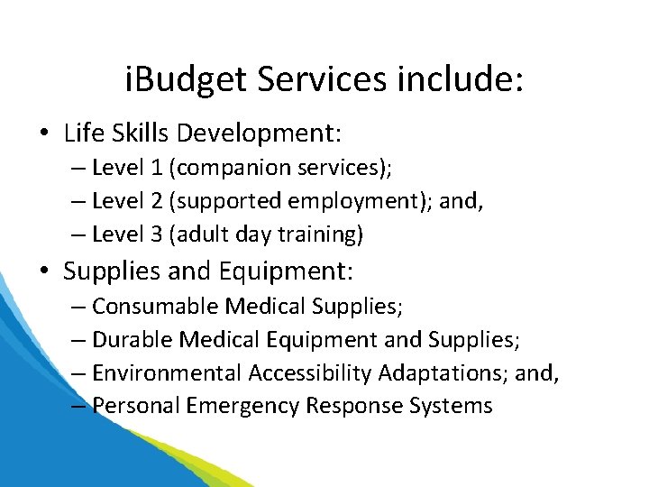 i. Budget Services include: • Life Skills Development: – Level 1 (companion services); –