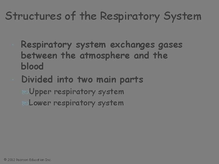 Structures of the Respiratory System Respiratory system exchanges gases between the atmosphere and the