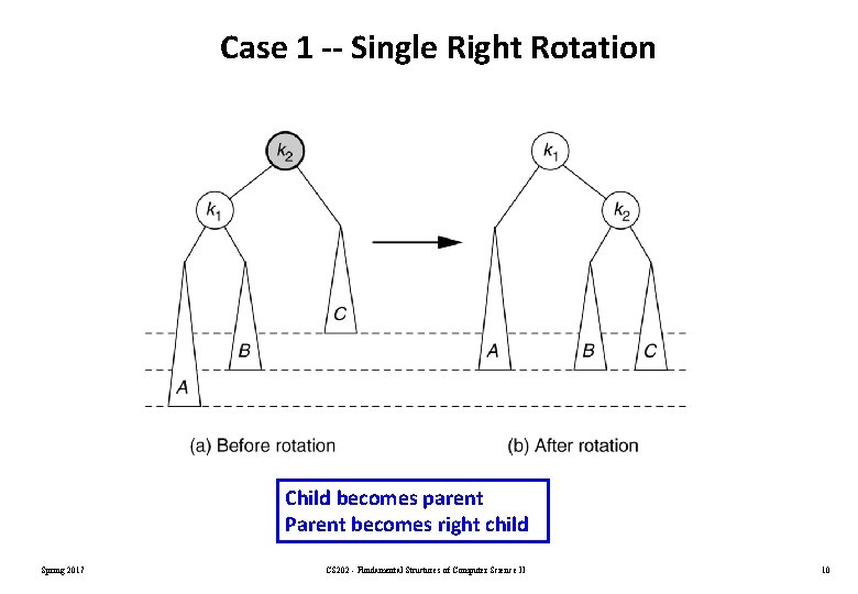 Case 1 -- Single Right Rotation Child becomes parent Parent becomes right child Spring