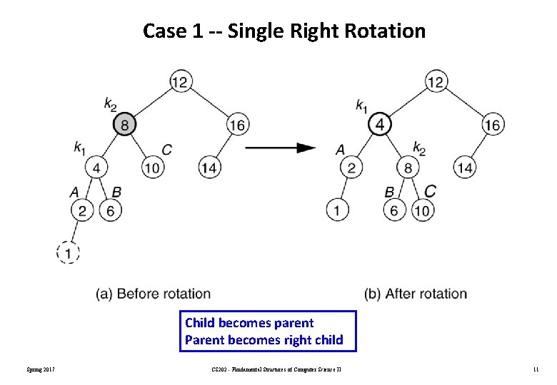 Case 1 -- Single Right Rotation Child becomes parent Parent becomes right child Spring