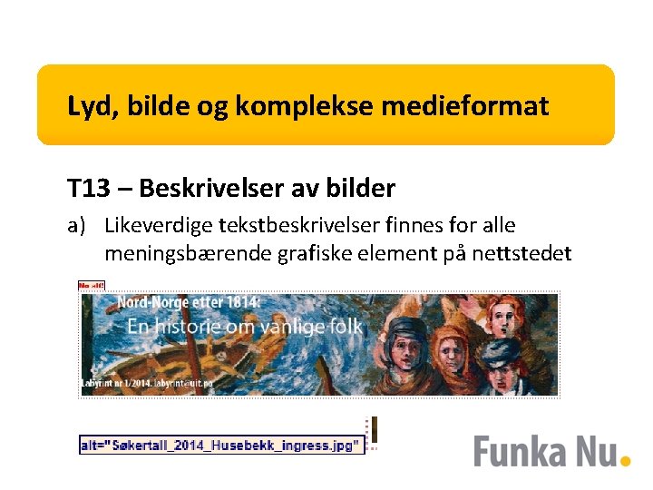 Lyd, bilde og komplekse medieformat T 13 – Beskrivelser av bilder a) Likeverdige tekstbeskrivelser