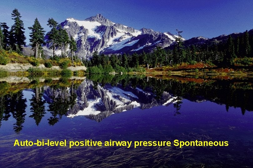 Auto-bi-level positive airway pressure Spontaneous 