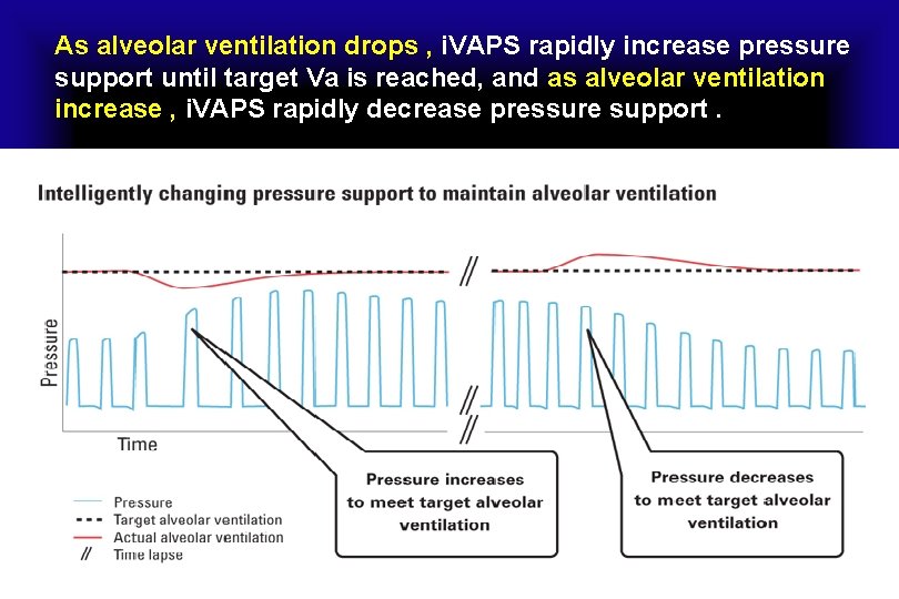 As alveolar ventilation drops , i. VAPS rapidly increase pressure support until target Va