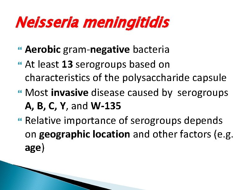 Neisseria meningitidis Aerobic gram-negative bacteria At least 13 serogroups based on characteristics of the