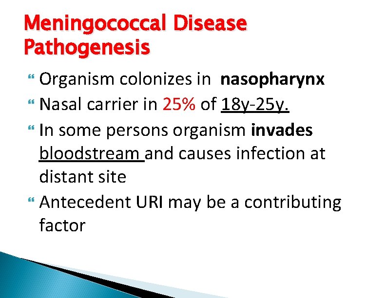 Meningococcal Disease Pathogenesis Organism colonizes in nasopharynx Nasal carrier in 25% of 18 y-25