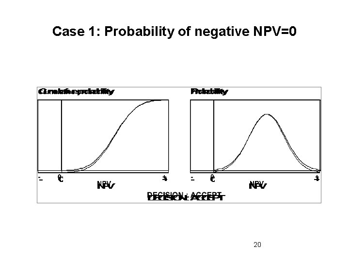 Case 1: Probability of negative NPV=0 20 