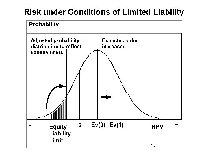 Risk under Conditions of Limited Liability 27 