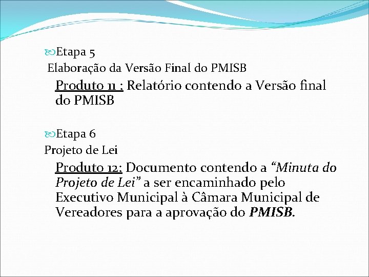  Etapa 5 Elaboração da Versão Final do PMISB Produto 11 : Relatório contendo