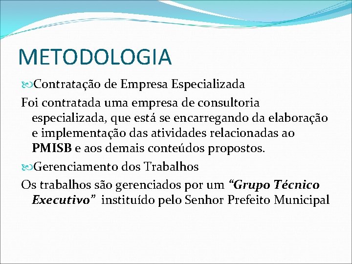 METODOLOGIA Contratação de Empresa Especializada Foi contratada uma empresa de consultoria especializada, que está