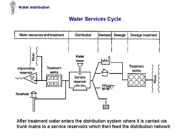 Water distribution Water Services Cycle After treatment water enters the distribution system where it