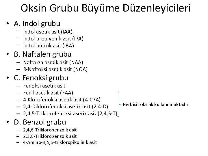 Oksin Grubu Büyüme Düzenleyicileri • A. İndol grubu – İndol asetik asit (IAA) –