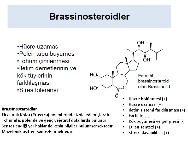 Brassinosteroidler İlk olarak Kolza (Brassica) polenlerinde izole edilmişlerdir. Tohumda, polende ve genç vejetatif dokularda