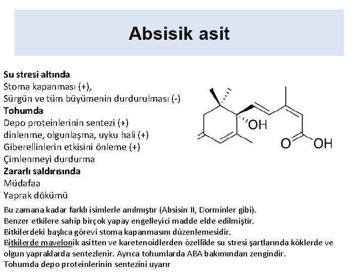 Su stresi altında Stoma kapanması (+), Sürgün ve tüm büyümenin durdurulması (-) Tohumda Depo