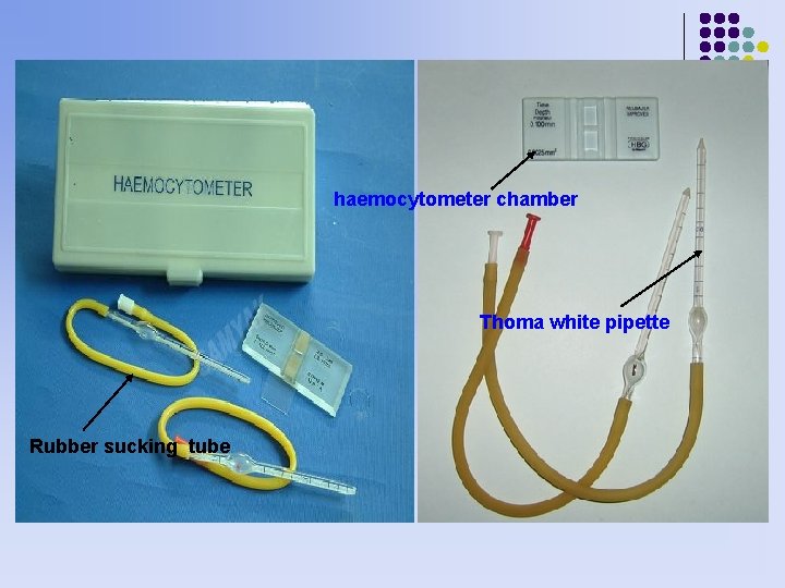 haemocytometer chamber Thoma white pipette Rubber sucking tube 