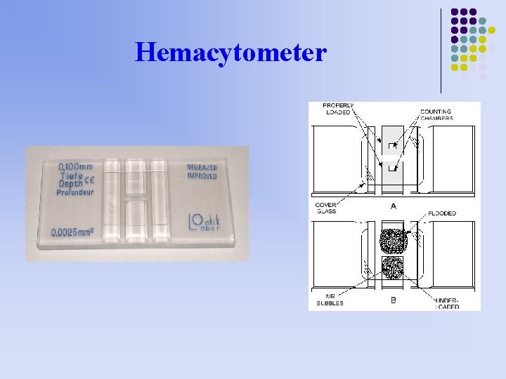 Hemacytometer 