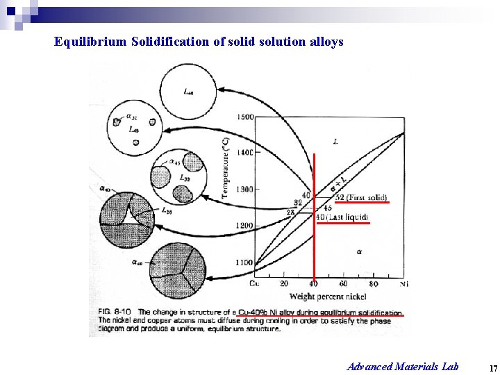 Equilibrium Solidification of solid solution alloys Advanced Materials Lab 17 