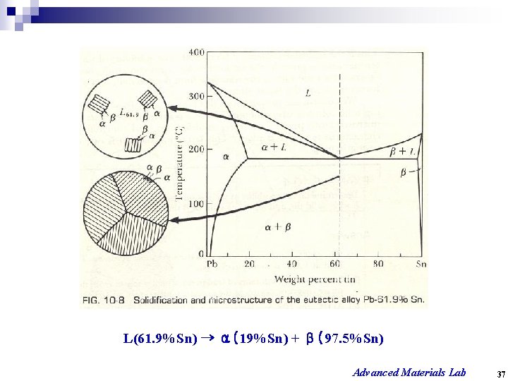 L(61. 9%Sn) → α(19%Sn) + β(97. 5%Sn) Advanced Materials Lab 37 