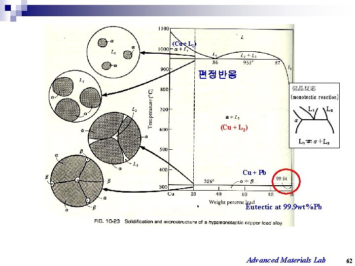 (Cu + L 1) 편정반응 (Cu + L 2) Cu + Pb Eutectic at