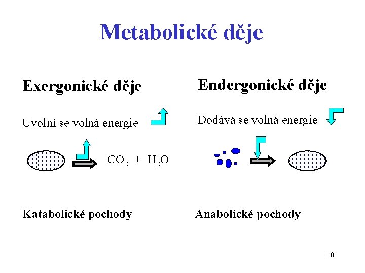 Metabolické děje Exergonické děje Endergonické děje Uvolní se volná energie Dodává se volná energie