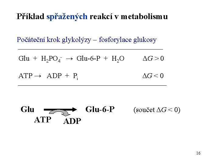 Příklad spřažených reakcí v metabolismu Počáteční krok glykolýzy – fosforylace glukosy Glu + H