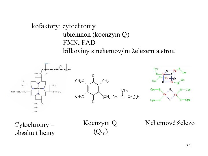 kofaktory: cytochromy ubichinon (koenzym Q) FMN, FAD bílkoviny s nehemovým železem a sírou Cytochromy