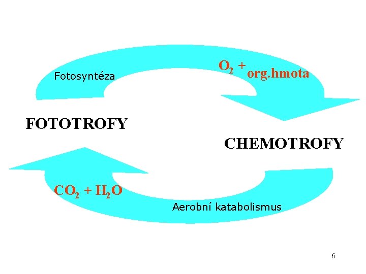 Fotosyntéza O 2 + org. hmota FOTOTROFY CHEMOTROFY CO 2 + H 2 O