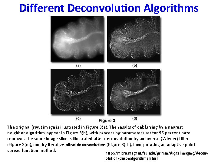 Different Deconvolution Algorithms The original (raw) image is illustrated in Figure 3(a). The results