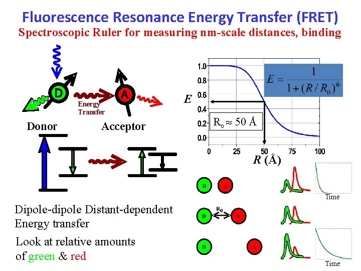 Fluorescence Resonance Energy Transfer (FRET) Spectroscopic Ruler for measuring nm-scale distances, binding Energy Transfer