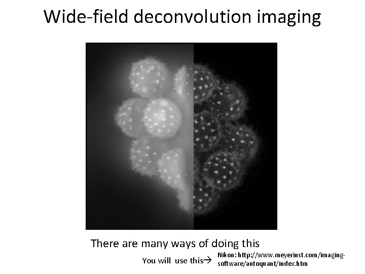 Wide-field deconvolution imaging There are many ways of doing this You will use this
