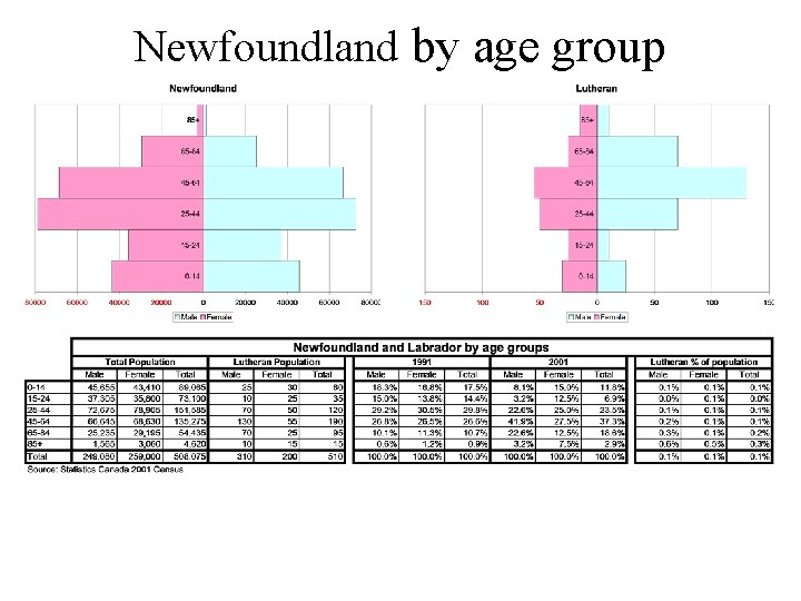 Newfoundland by age group 