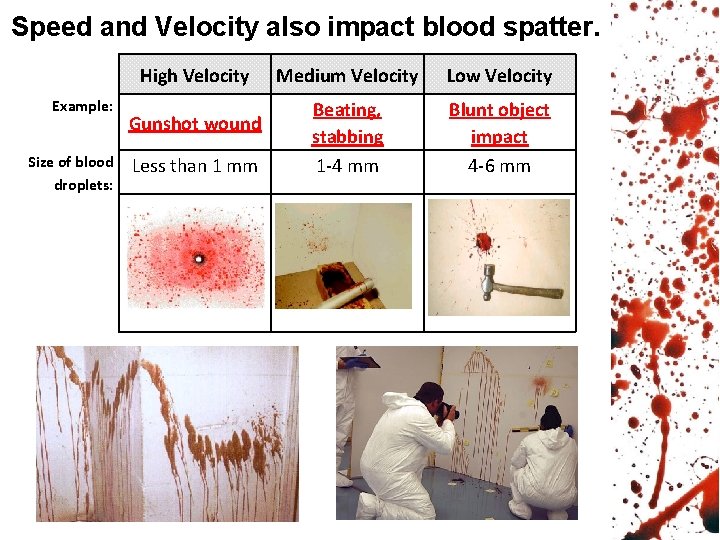 Speed and Velocity also impact blood spatter. High Velocity Example: Size of blood droplets: