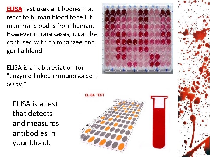 ELISA test uses antibodies that react to human blood to tell if mammal blood