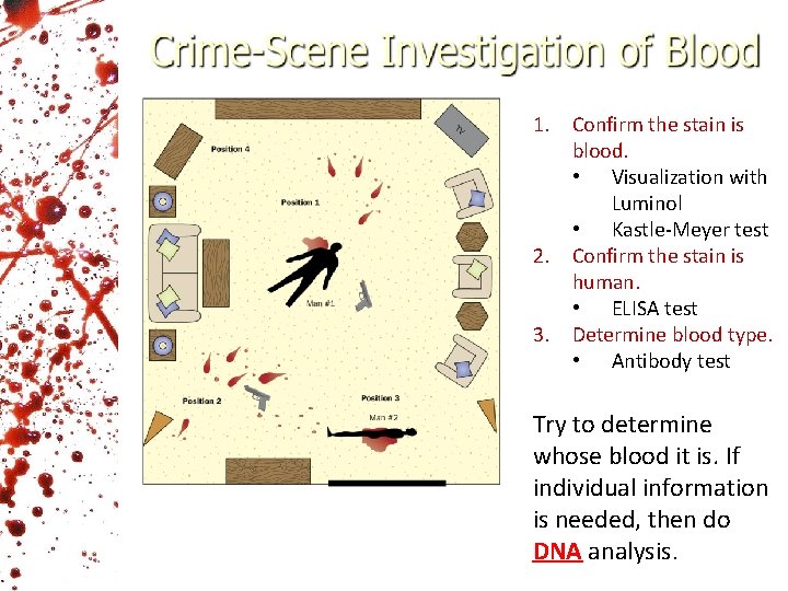 1. Confirm the stain is blood. • Visualization with Luminol • Kastle-Meyer test 2.