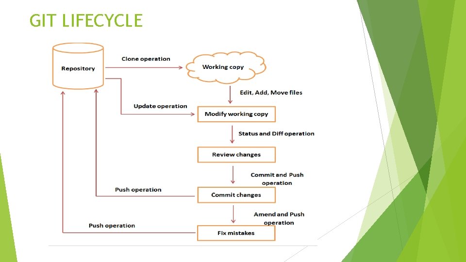 GIT LIFECYCLE 