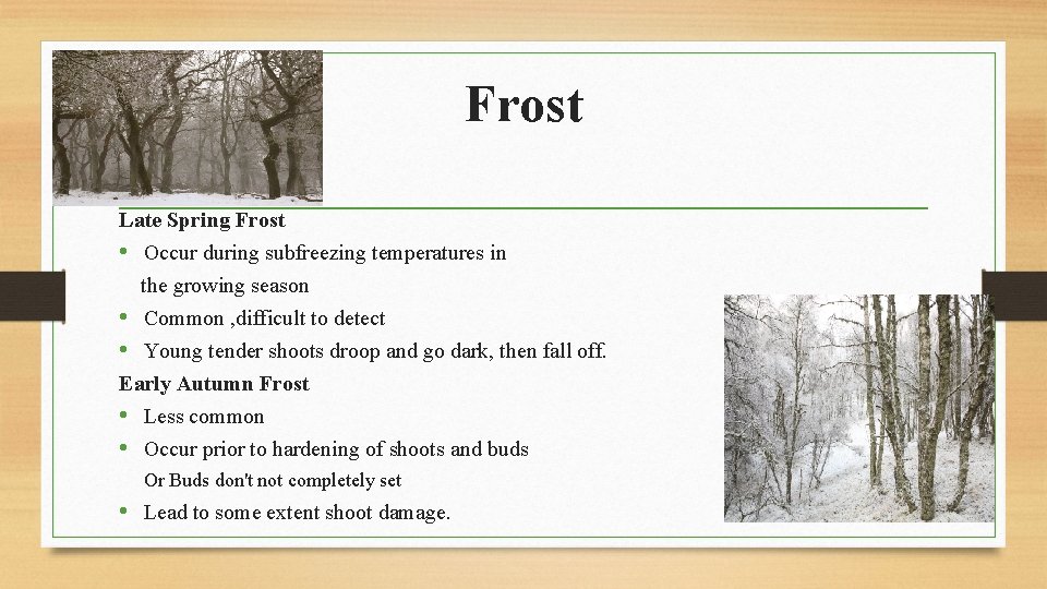 Frost Late Spring Frost • Occur during subfreezing temperatures in the growing season •