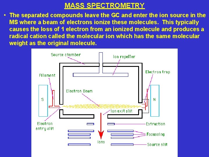 MASS SPECTROMETRY • The separated compounds leave the GC and enter the ion source