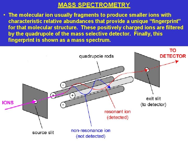 MASS SPECTROMETRY • The molecular ion usually fragments to produce smaller ions with characteristic
