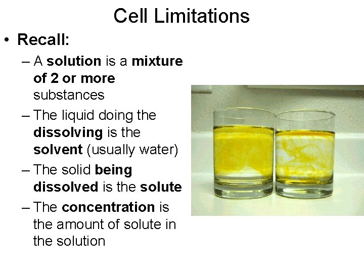 Cell Limitations • Recall: – A solution is a mixture of 2 or more