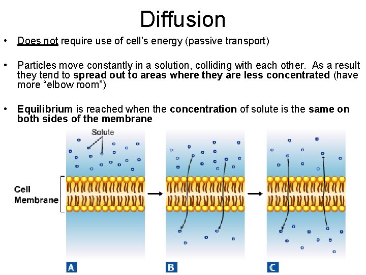 Diffusion • Does not require use of cell’s energy (passive transport) • Particles move