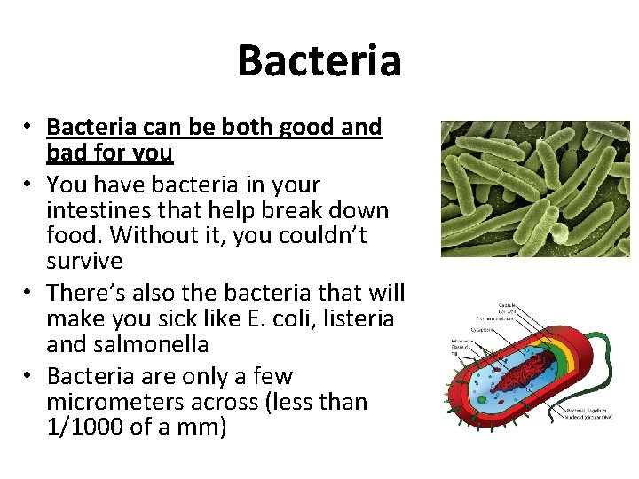 Bacteria • Bacteria can be both good and bad for you • You have